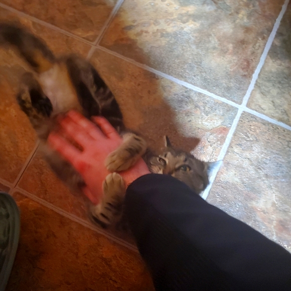 Mostly Share-for-Share; new inventory expected March - Picture 3 of 3